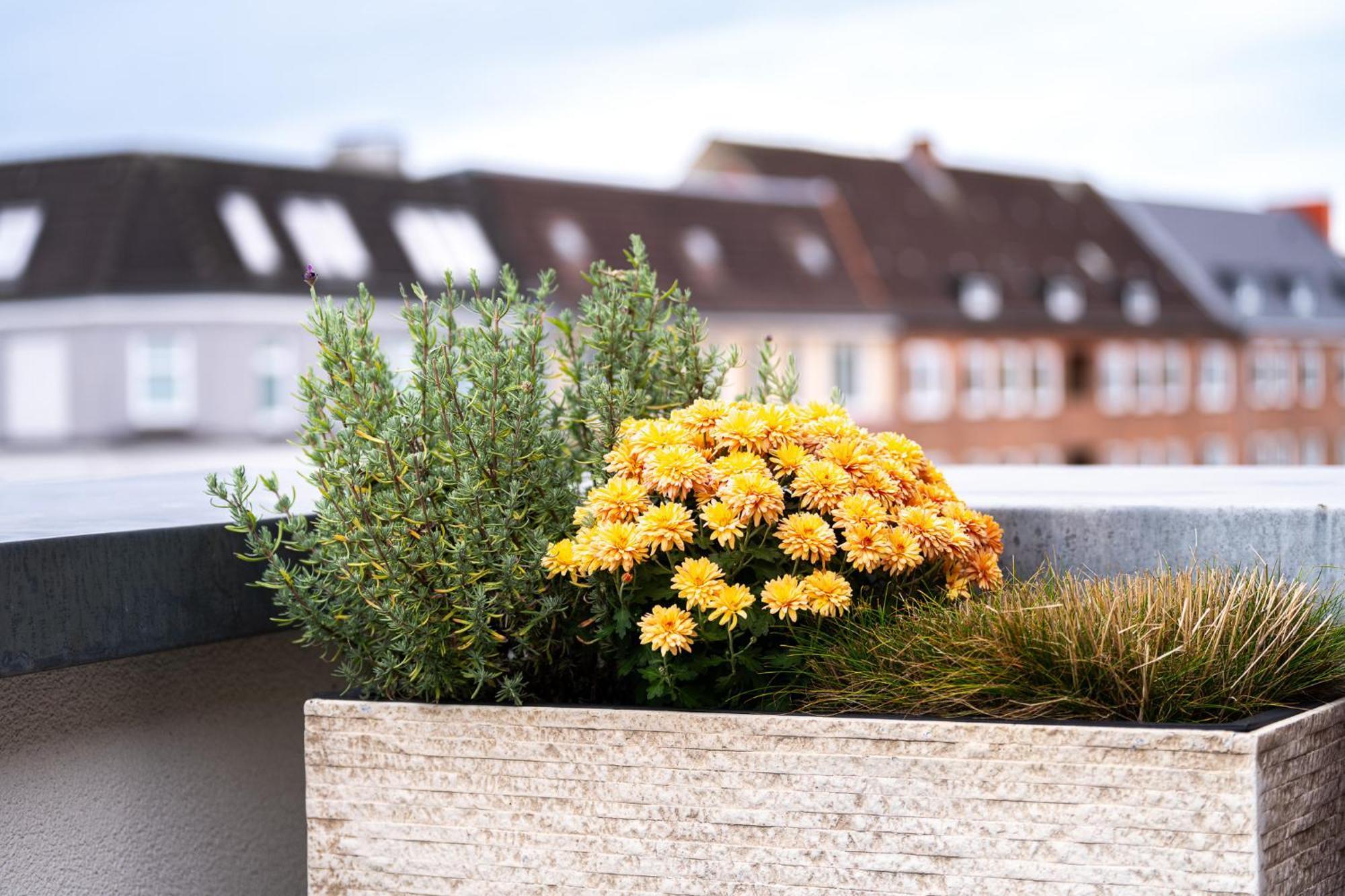 Foerdeterrasse Nahe Kiellinie Apartment *